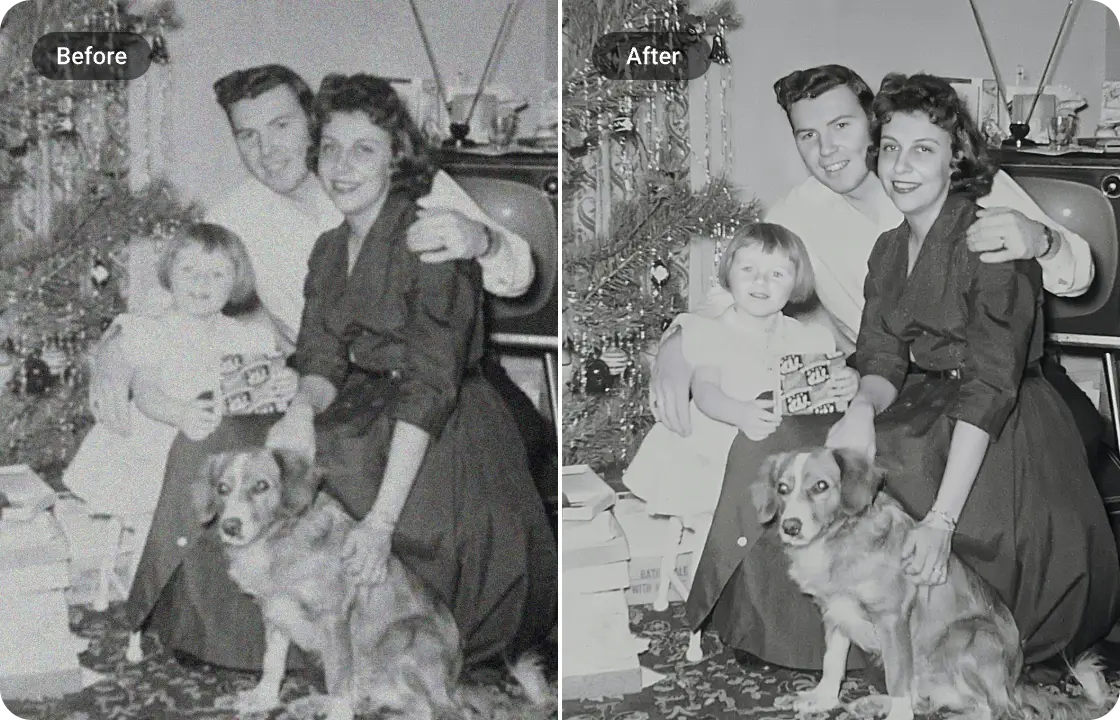 Denoise and Repair Old Photos
